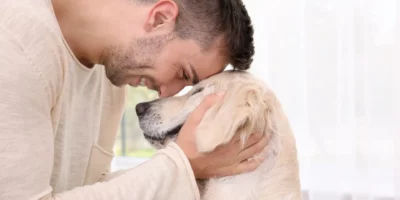 חרדת נטישה אצל כלבים