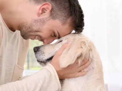 חרדת נטישה אצל כלבים